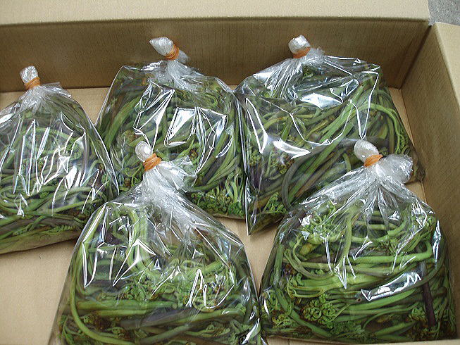 �������������r�@