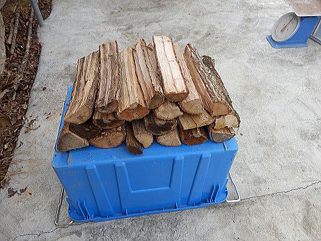 �d�_���{�[������