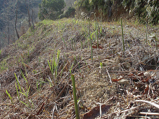 �����r�̎����������̂����ꏊ