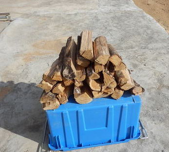 �d�_���{�[������