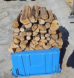 �d�_���{�[������