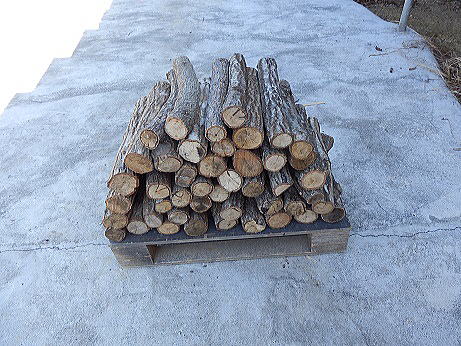 �d�_���{�[������