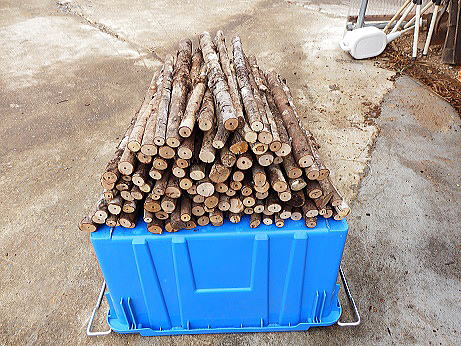 �d�_���{�[������