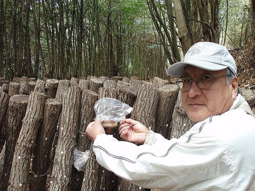 自然栽培原木椎茸