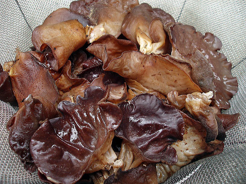 本キクラゲ 肉厚のものは最高