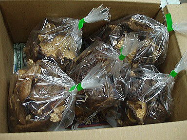 �����ő�