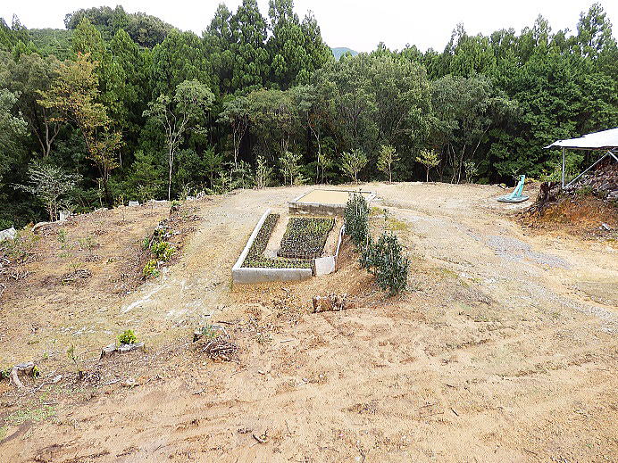 ���Y�{��