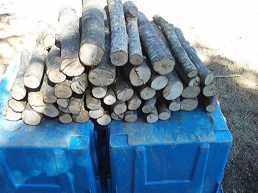 �d�İ�ޗp�d�@�_���{�[������