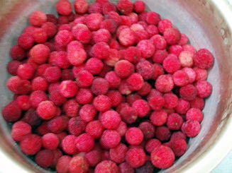 ���}�����W�����@�����߂�s���N�̃��}�����𗘗p