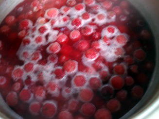 ���}�������P�O���ʎςė���������