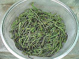 �A�N���������r