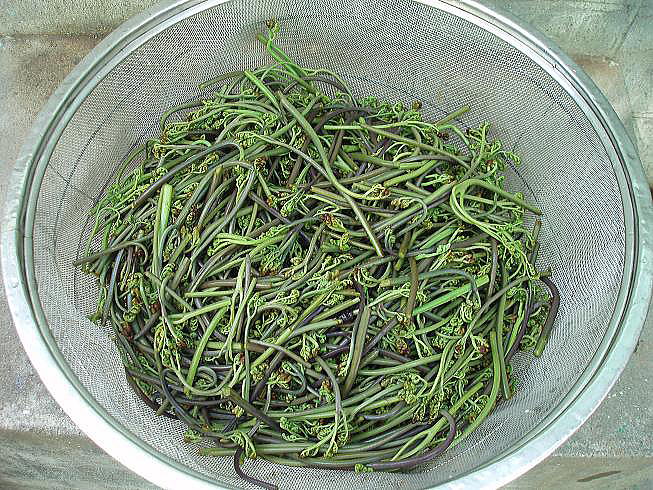 �A�N���������r�@���Y�҂��̔��@