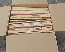 �d�_���{�[������