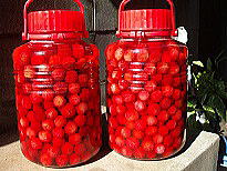 �a�N���X�̂�܂������@�g��