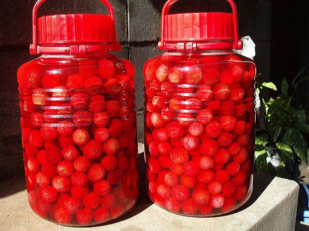 ��܂������@�a�N���X�ō��܂���