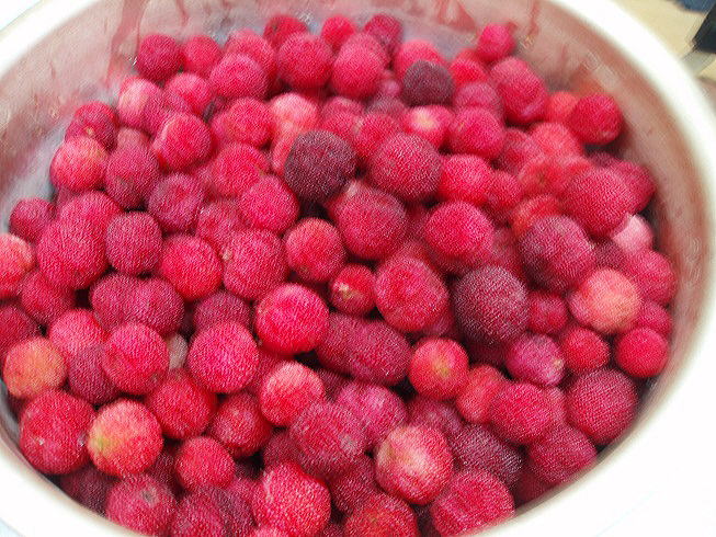 ヤマモモジャム作りやヤマモモ酒にも最適です