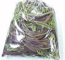 �A�N���������r�@