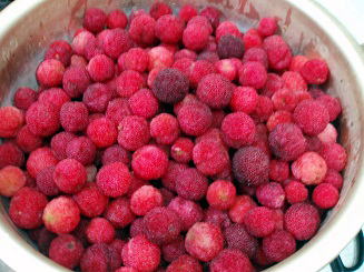 ���}�����S,�V�����Ń��}�����W�����ɍă`�������W