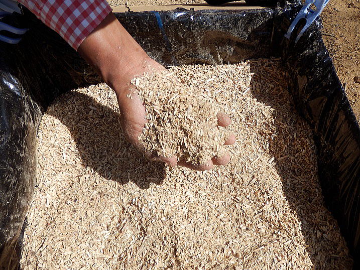 �z�_�؃}�b�g