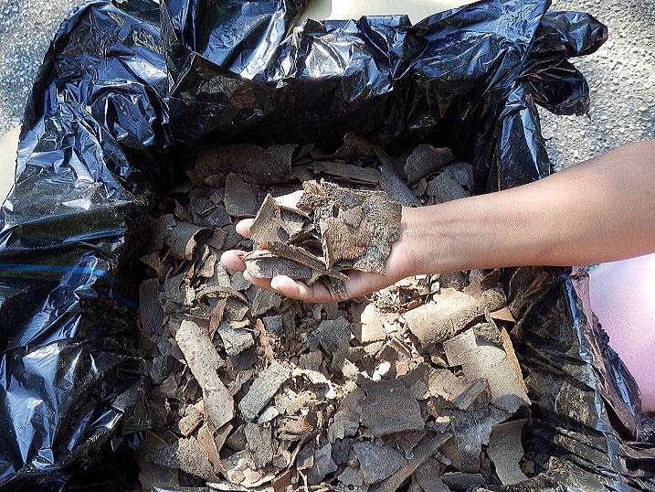 カブト虫昆虫マット