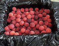 ���}�����̔�