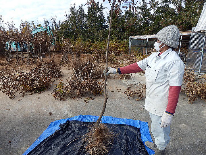 �N�k�M�̕c��