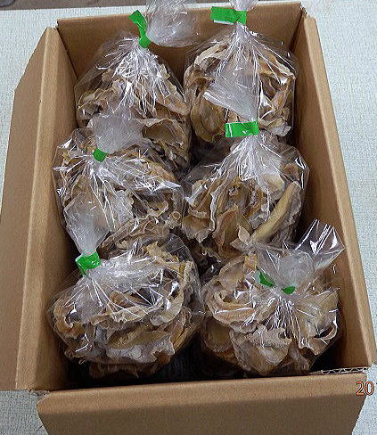 干しタケノコ　　６００ｇ入り