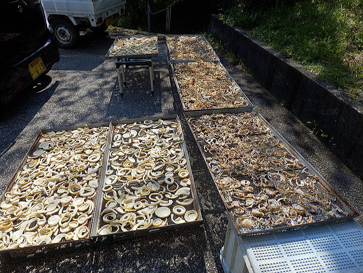 �����^�P�m�R�̔�