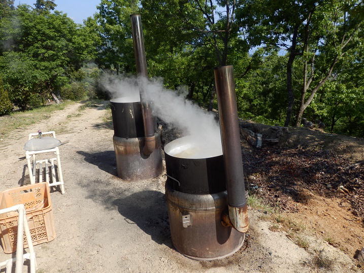 �����^�P�m�R�̔�