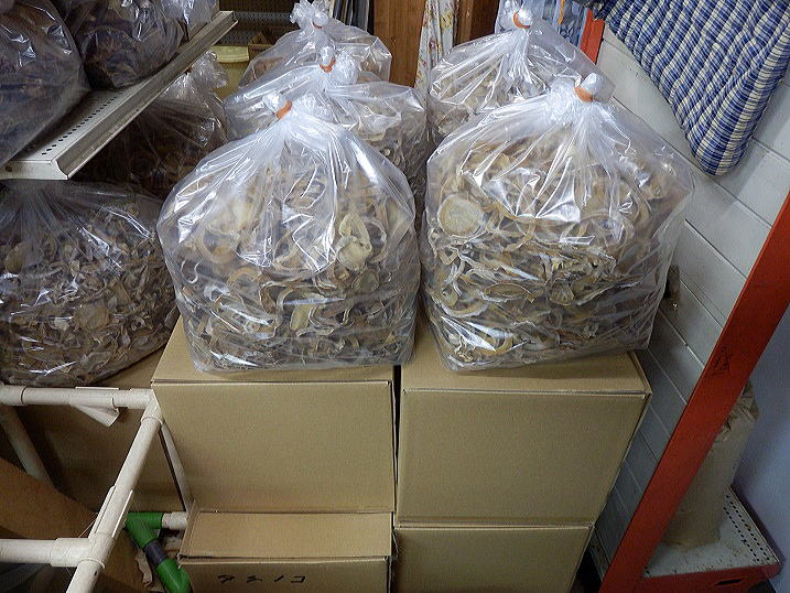 �����^�P�m�R�̔�