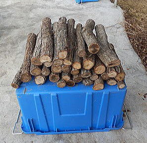 �d�_���{�[������@�N�k�M