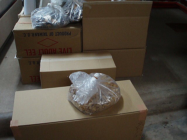 �����ő��P�O��������̍݌�