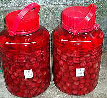 �Ԃ��F���ƂĂ��N�₩�� ��܂�����