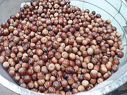 �N�k�M�̎킩��؂���ĂĂ݂܂���